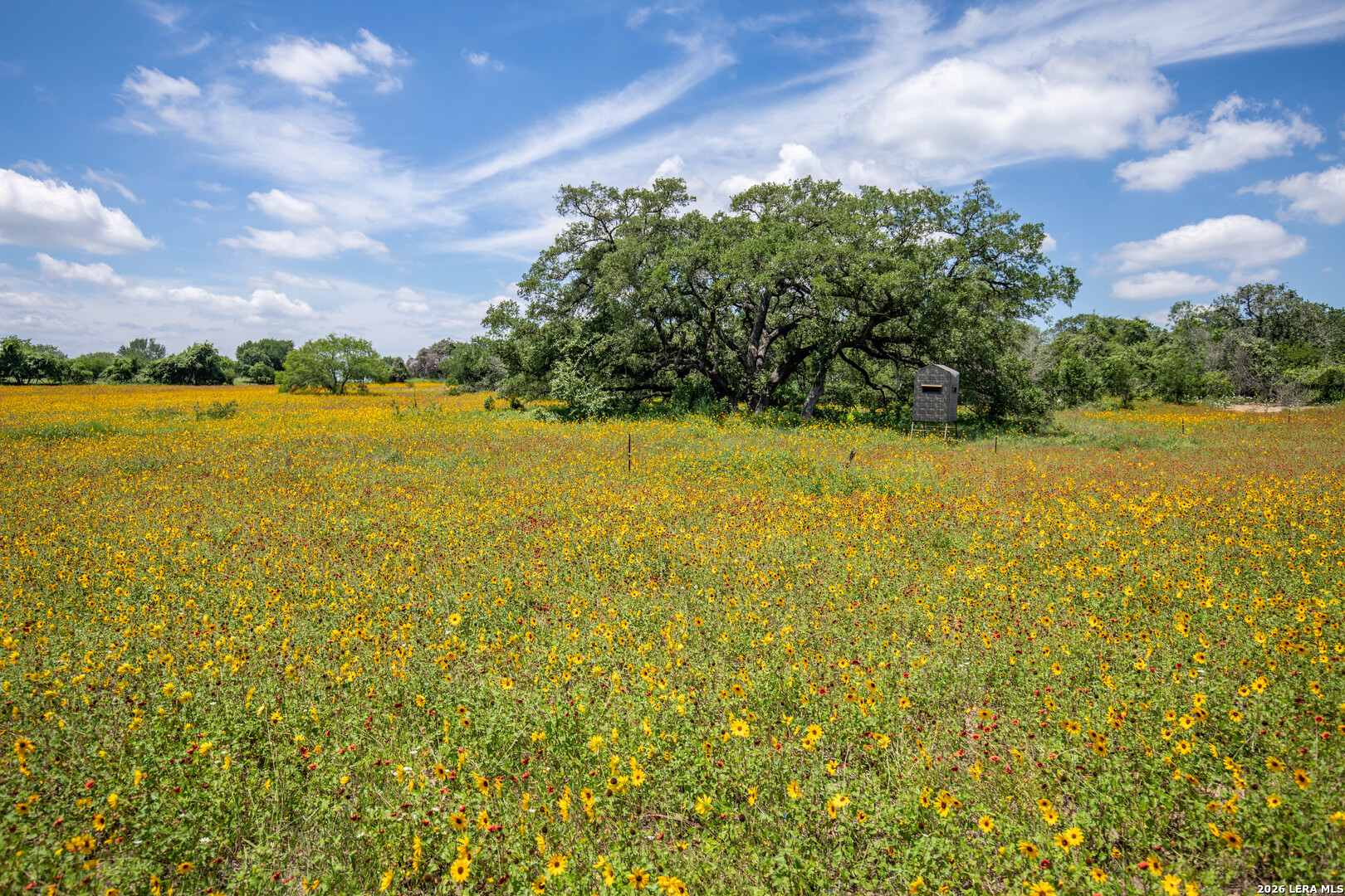9393 E Us Highway 87 Westhoff TX 77994