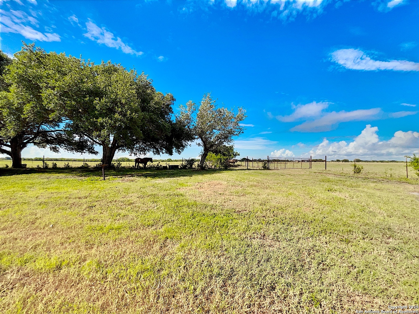3389 Fm 888 Beeville TX 78102