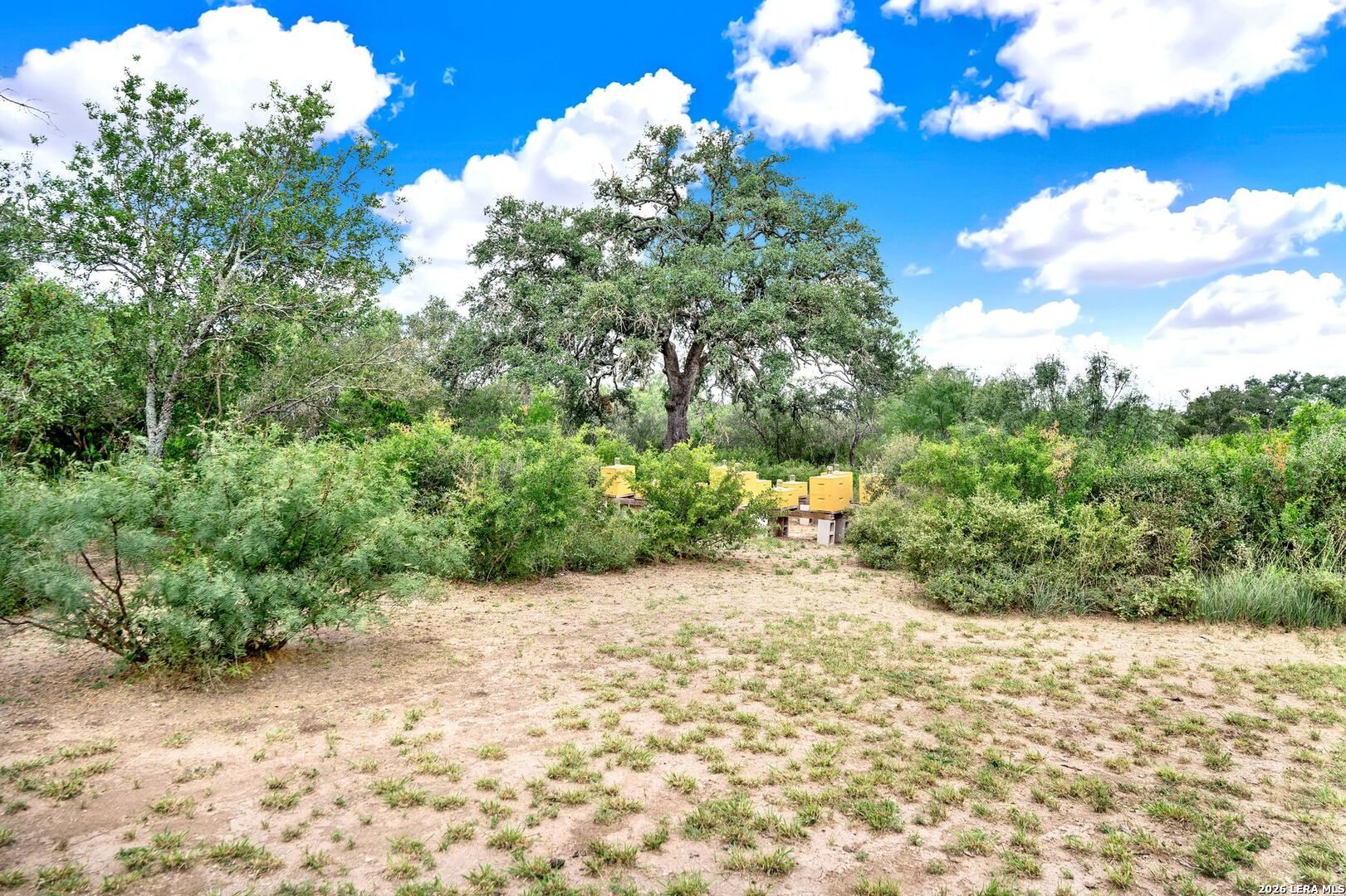 144 Pr 324 Dhanis TX 78850