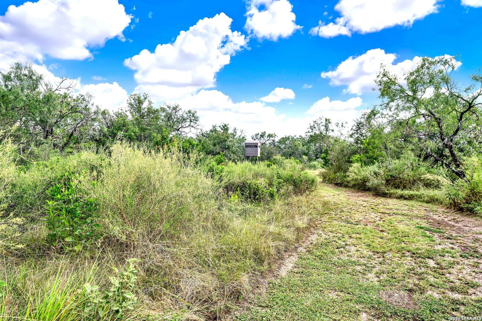 144 Pr 324 Dhanis TX 78850