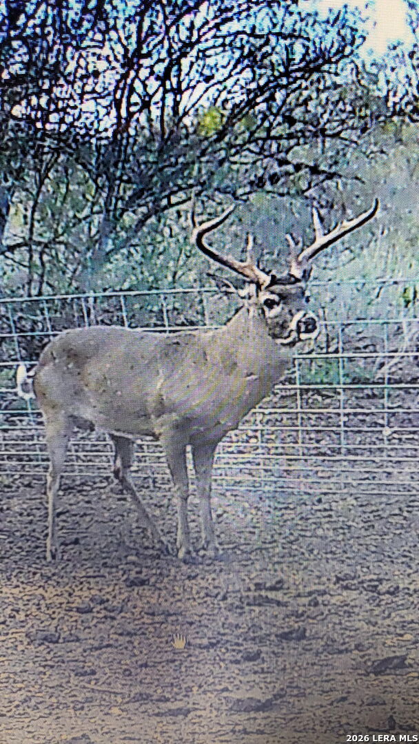 144 Pr 324 Dhanis TX 78850
