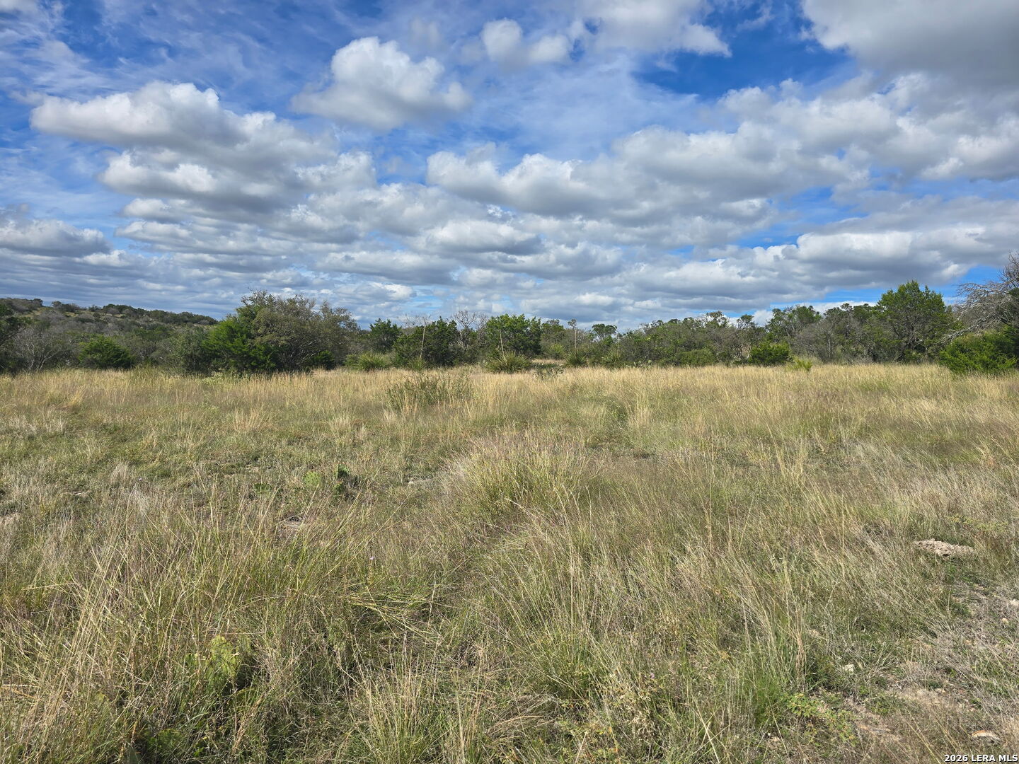 115 Sd 45760 Rocksprings TX 78880