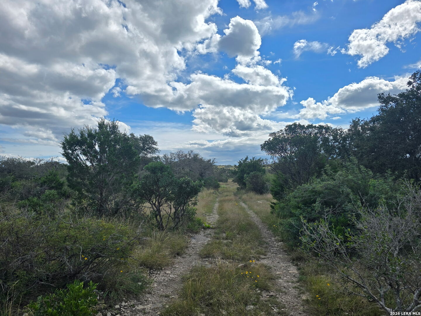 115 Sd 45760 Rocksprings TX 78880