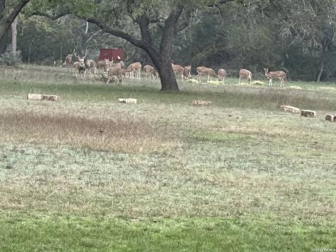 196 B Rock Bottom Road Hunt TX 78024