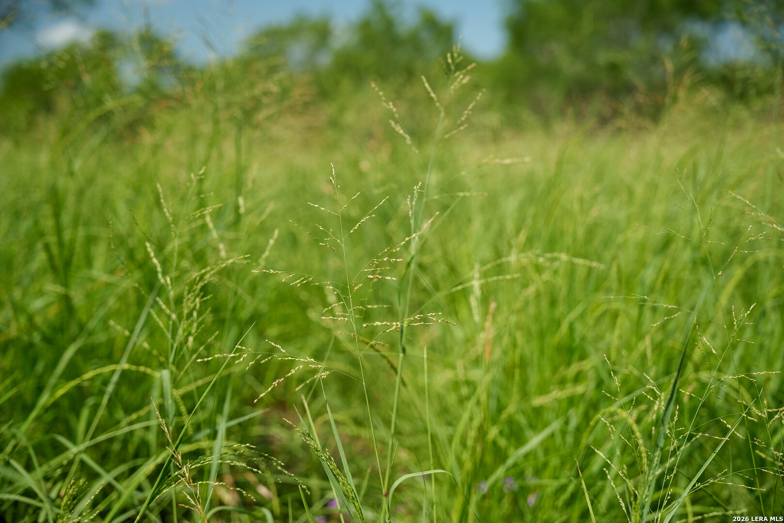 000 Cr 241 Three Rivers TX 78071