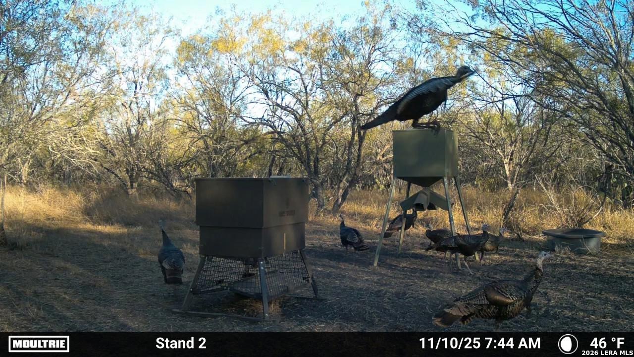 000 Cr 241 Three Rivers TX 78071