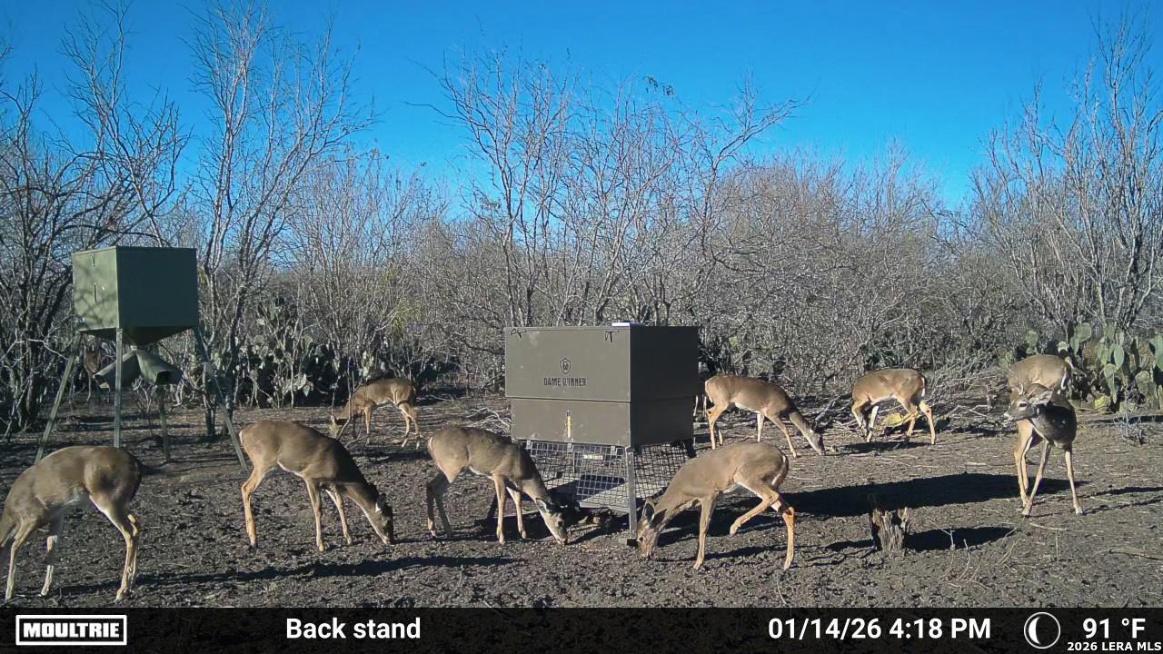 000 Cr 241 Three Rivers TX 78071