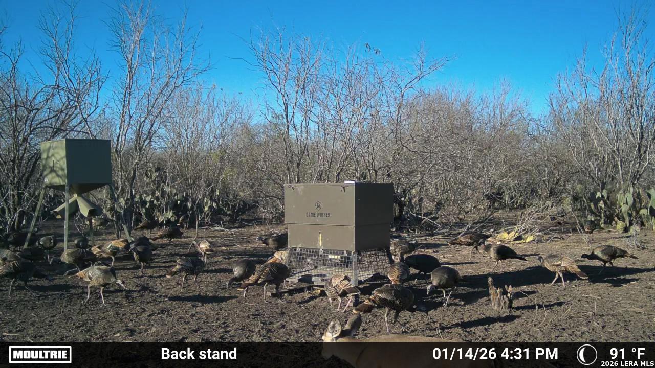 000 Cr 241 Three Rivers TX 78071