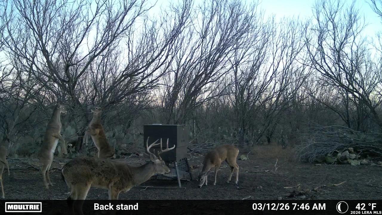 000 Cr 241 Three Rivers TX 78071
