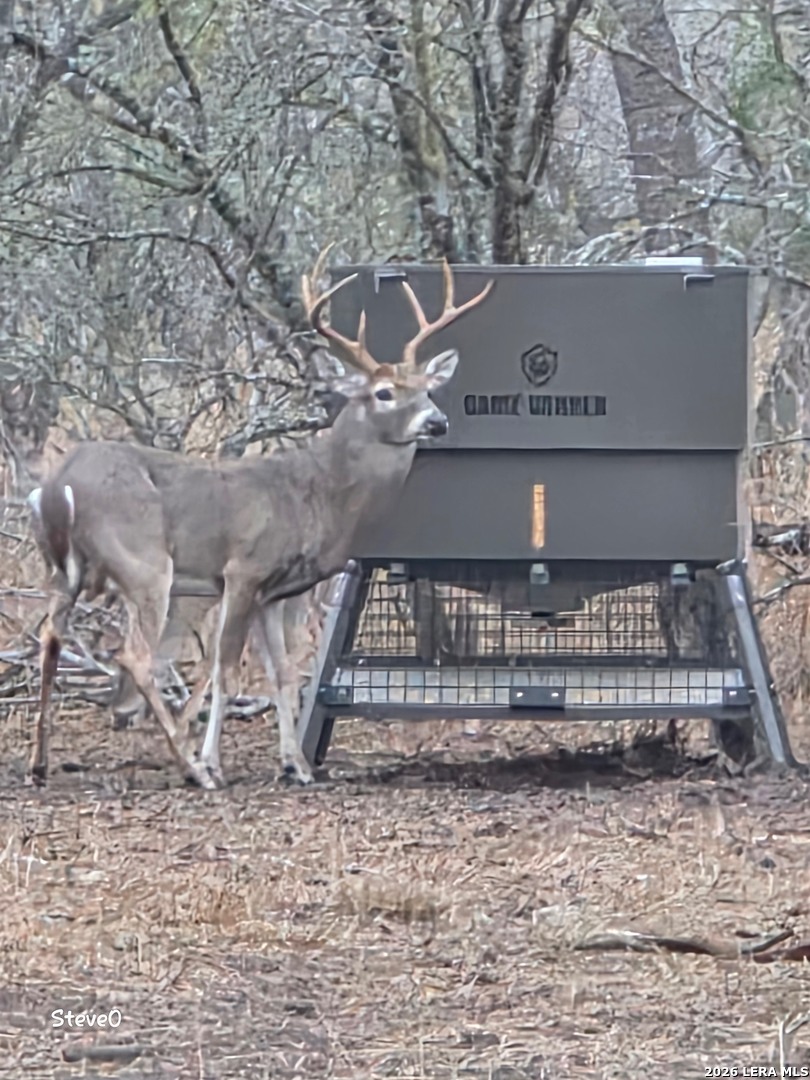 000 Cr 241 Three Rivers TX 78071