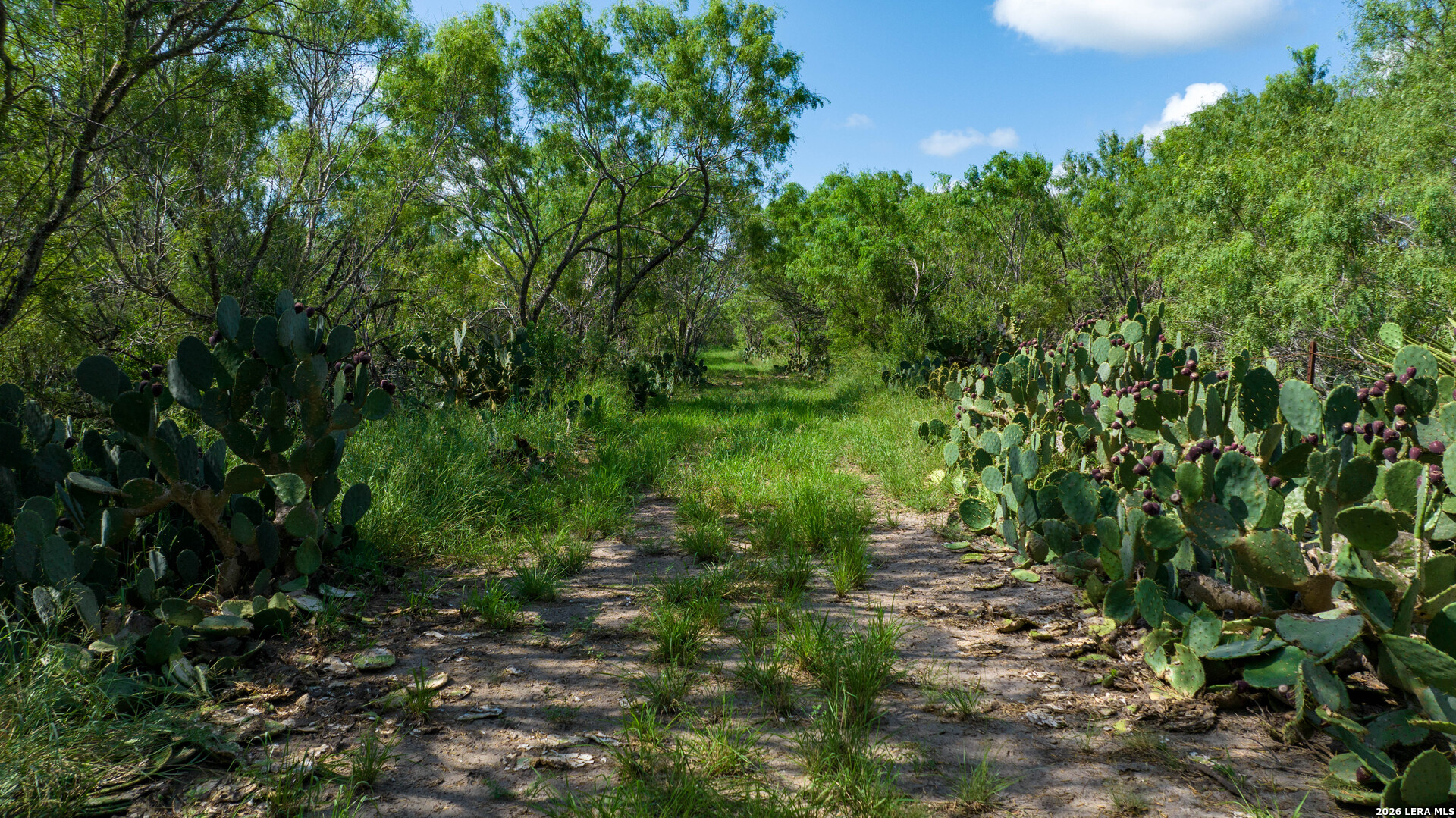 000 Cr 241 Three Rivers TX 78071