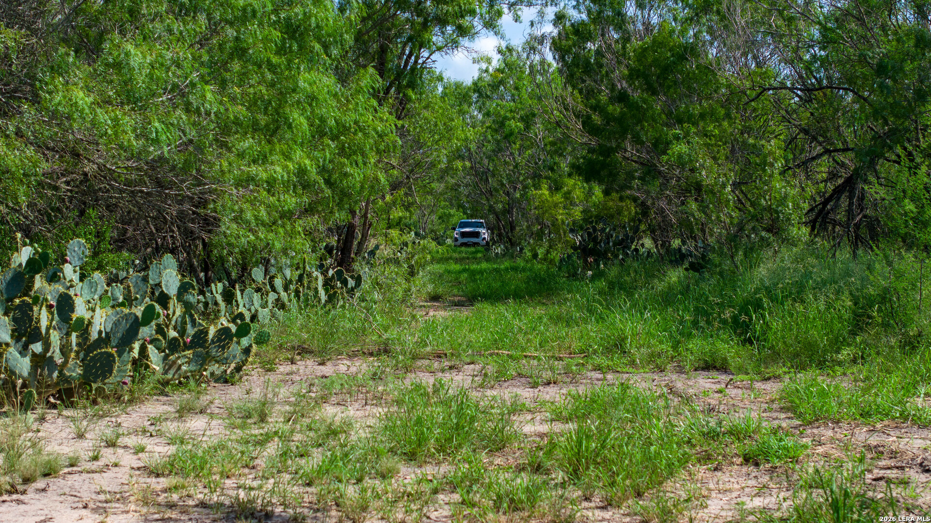 000 Cr 241 Three Rivers TX 78071