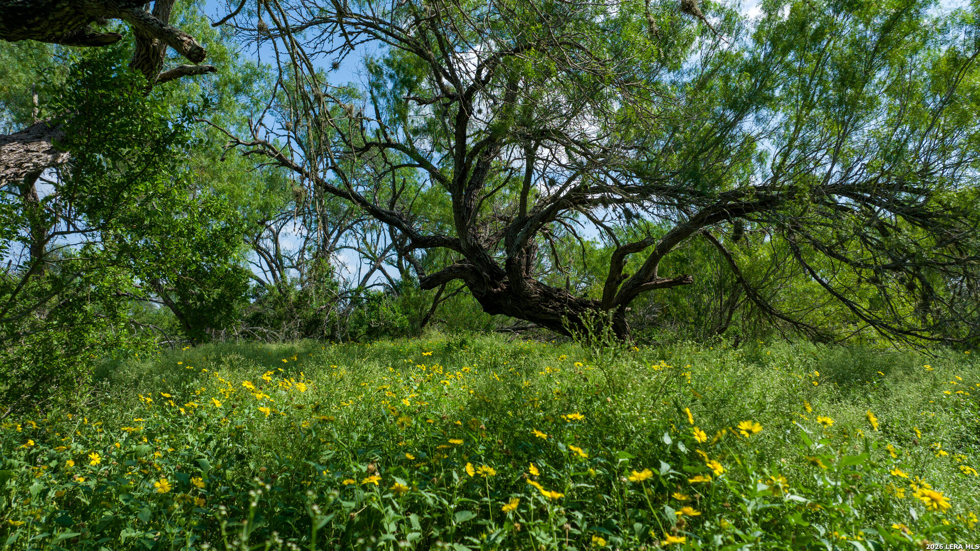 000 Cr 241 Three Rivers TX 78071