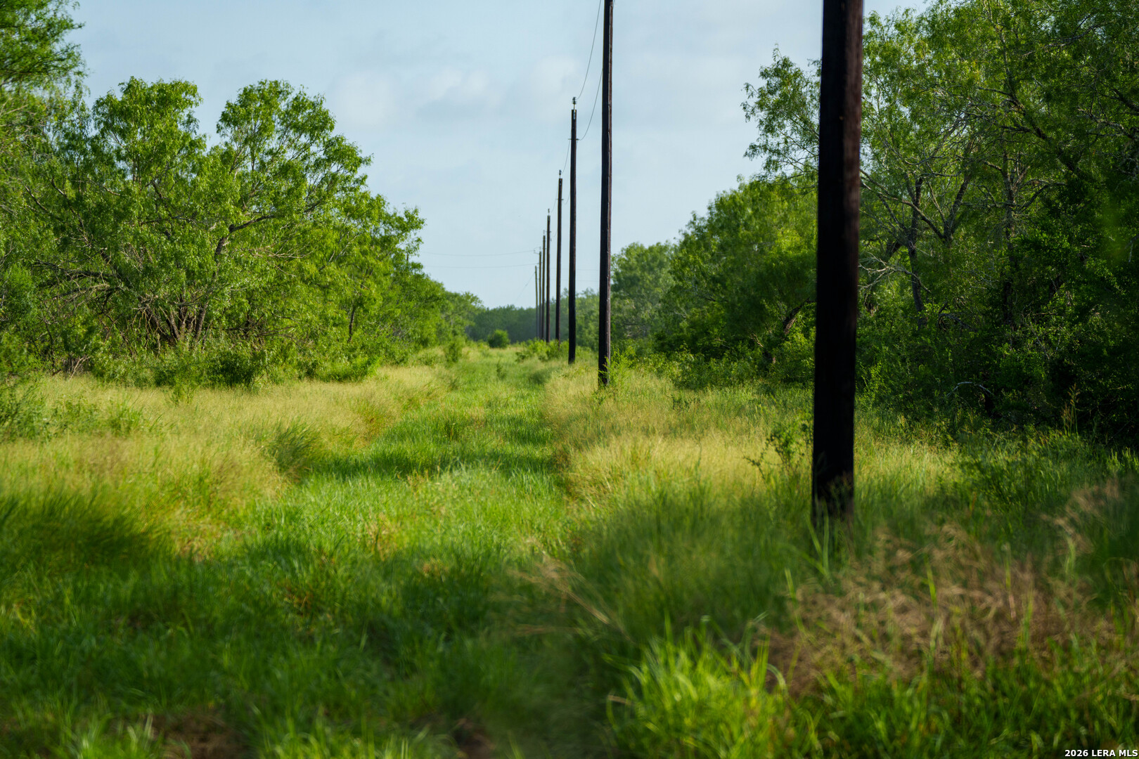 000 Cr 241 Three Rivers TX 78071