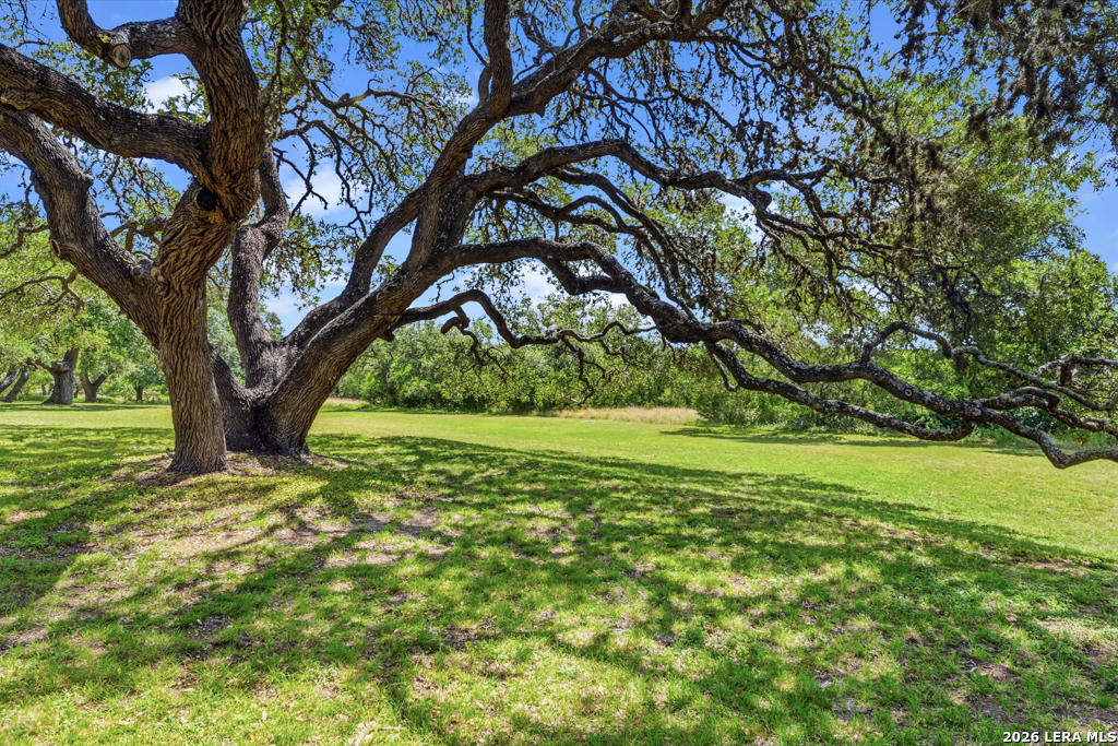 5601 Fm 2325 Wimberley TX 78676