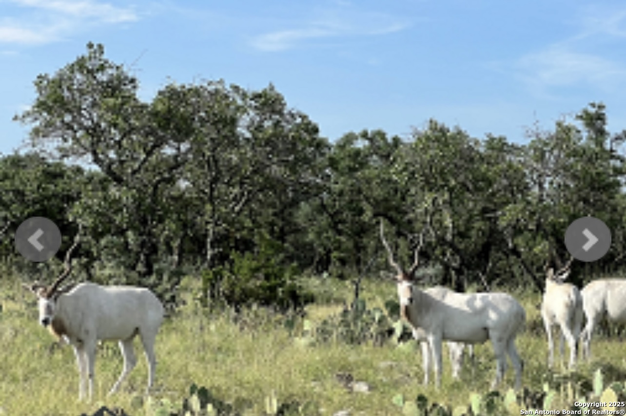 14410 Us Highway 190 Fort Mckavett TX 76841