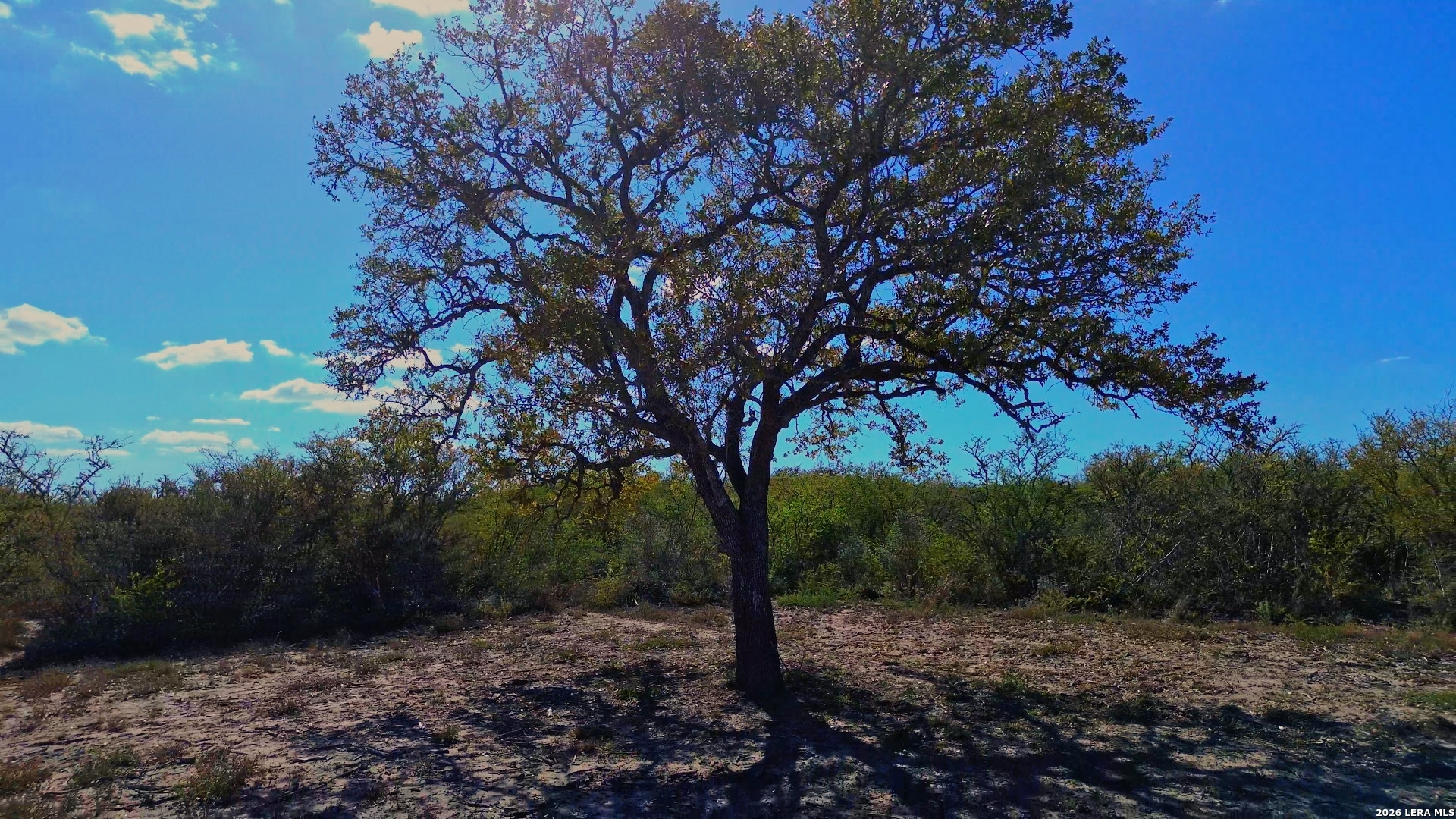 128 Salyer George West TX 78022