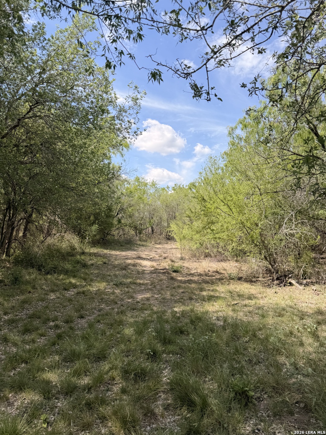 000 Fm 534 Sandia TX 78383