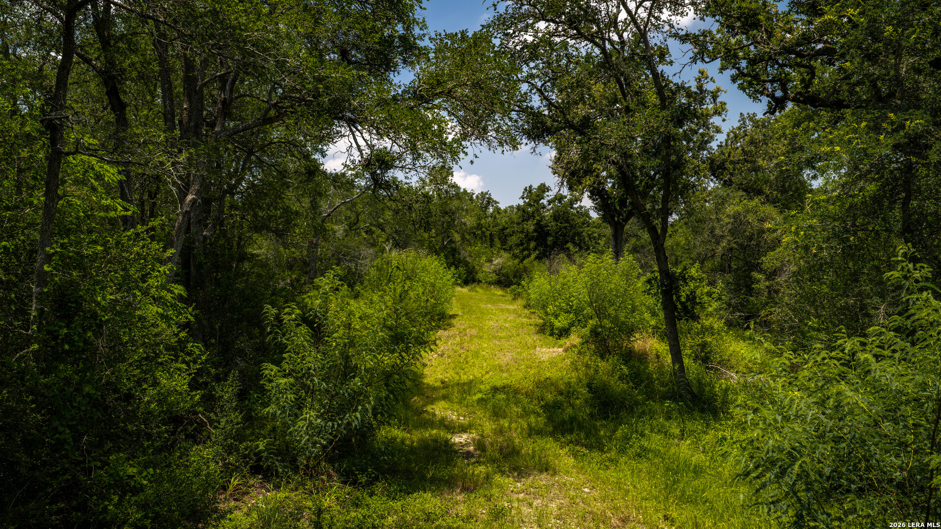 275 Fm 1104 Kingsbury TX 78638
