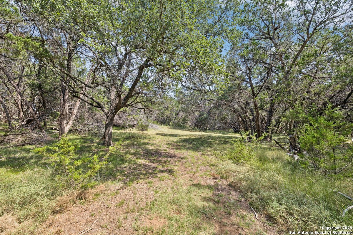 36 Lewis Road Boerne TX 78006