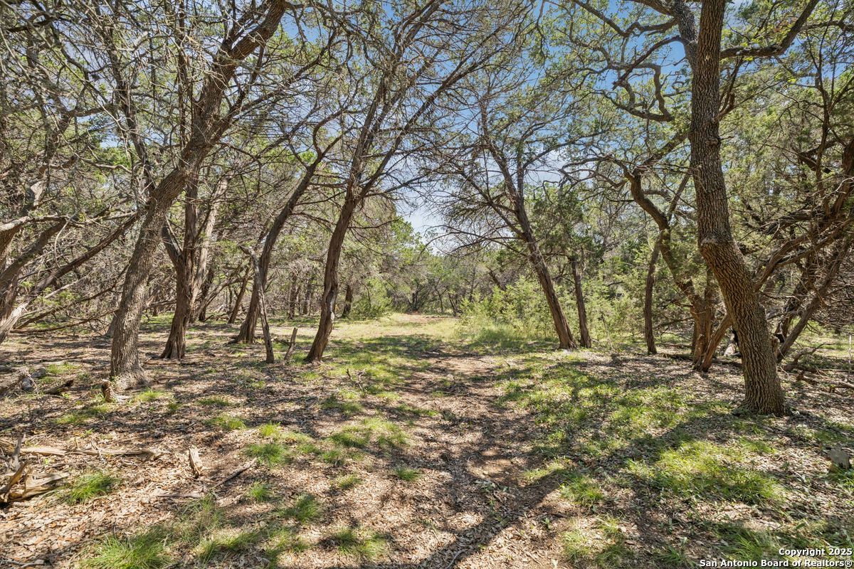 36 Lewis Road Boerne TX 78006