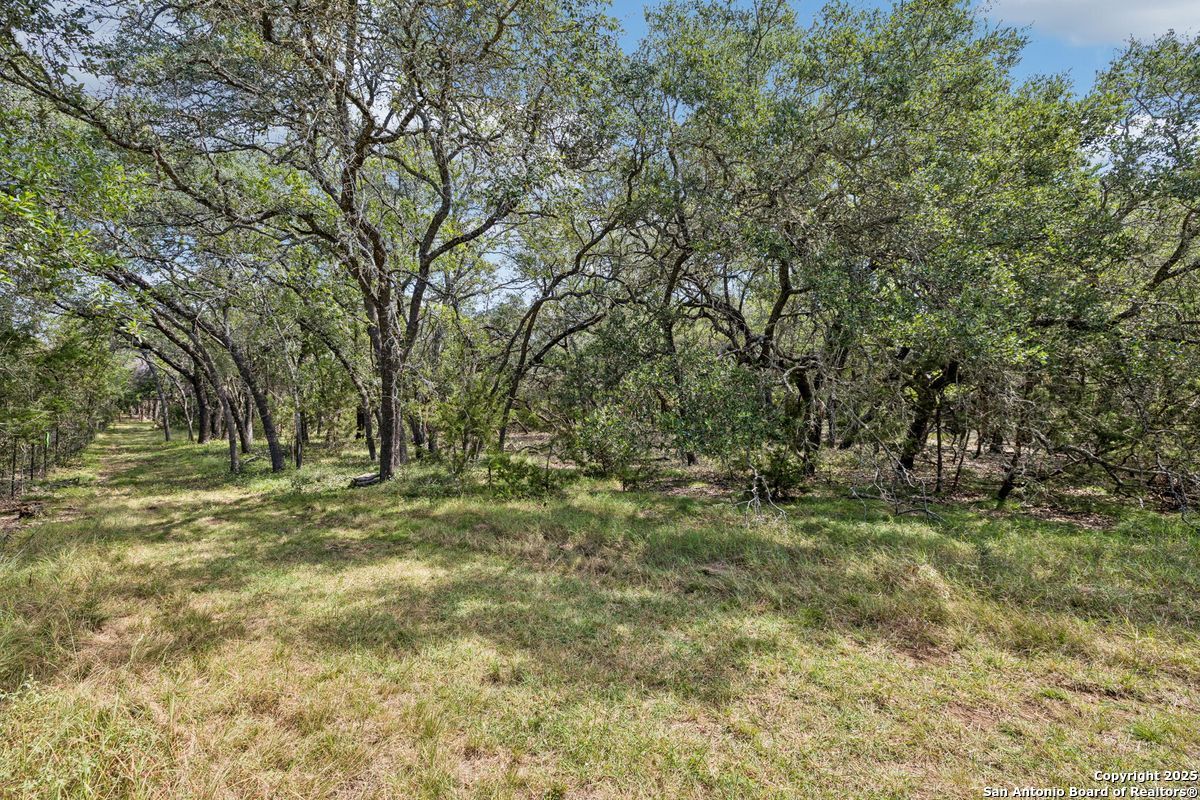 36 Lewis Road Boerne TX 78006