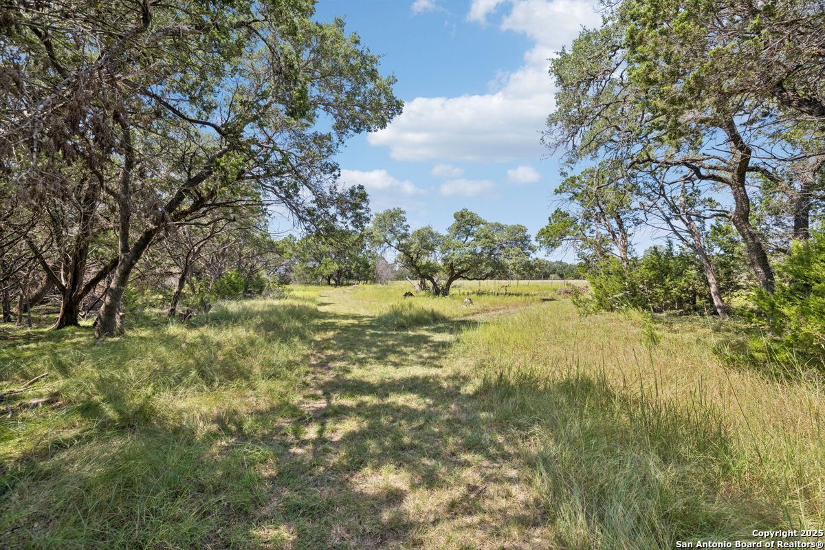 36 Lewis Road Boerne TX 78006