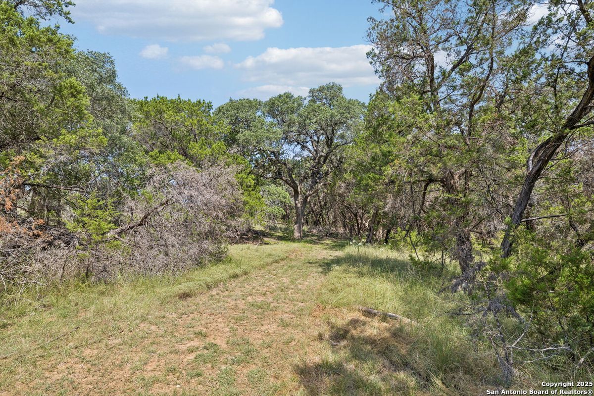 36 Lewis Road Boerne TX 78006