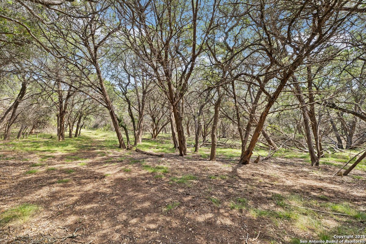 36 Lewis Road Boerne TX 78006