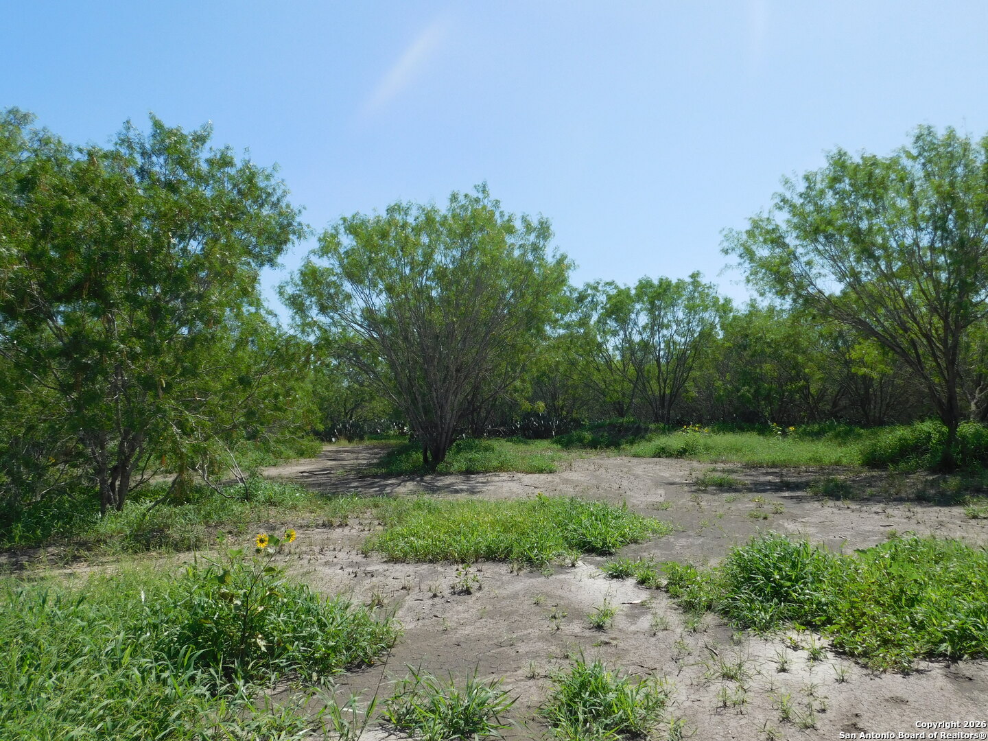 1590 Mccauley Road Floresville TX 78114