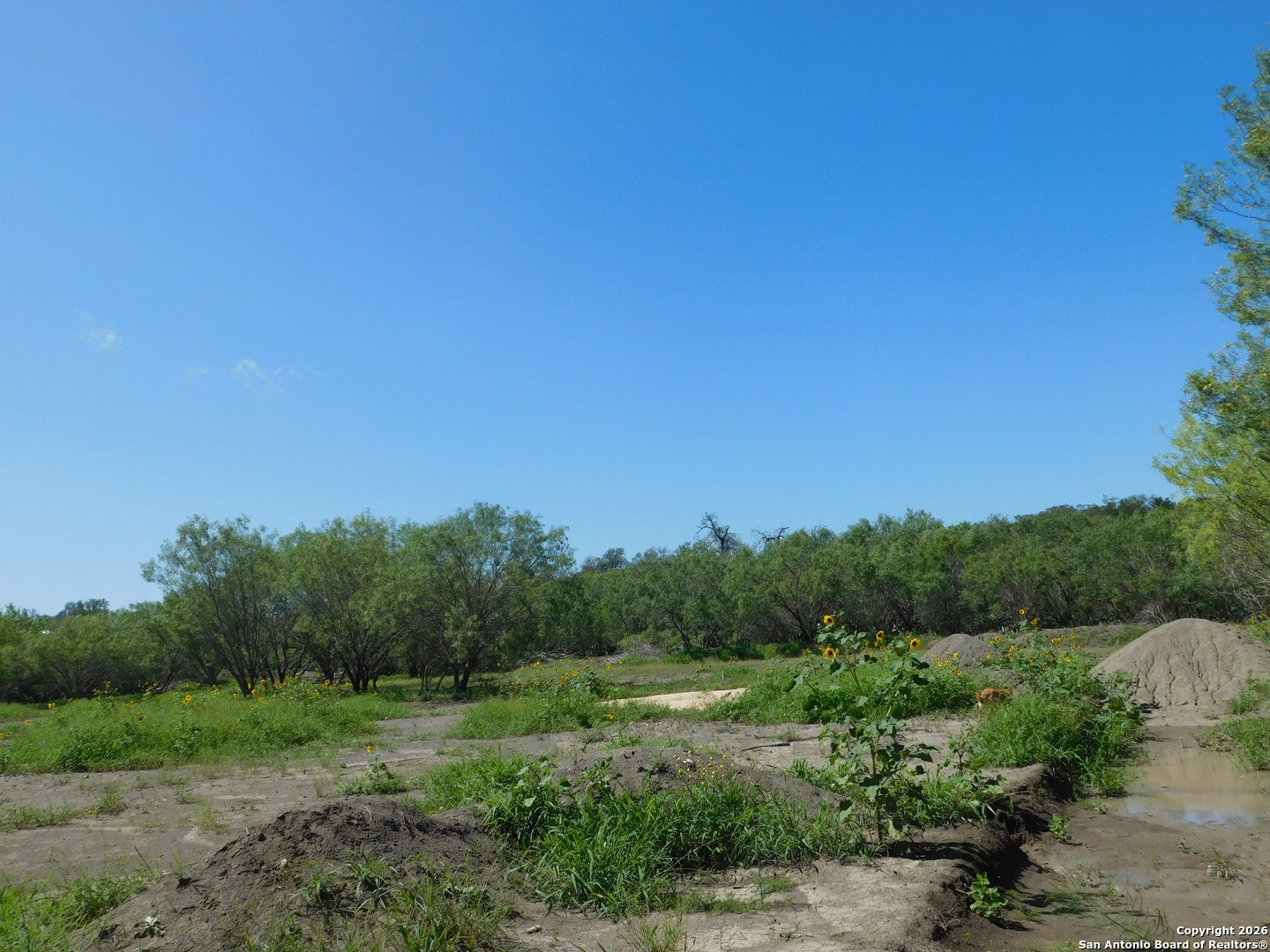 1590 Mccauley Road Floresville TX 78114
