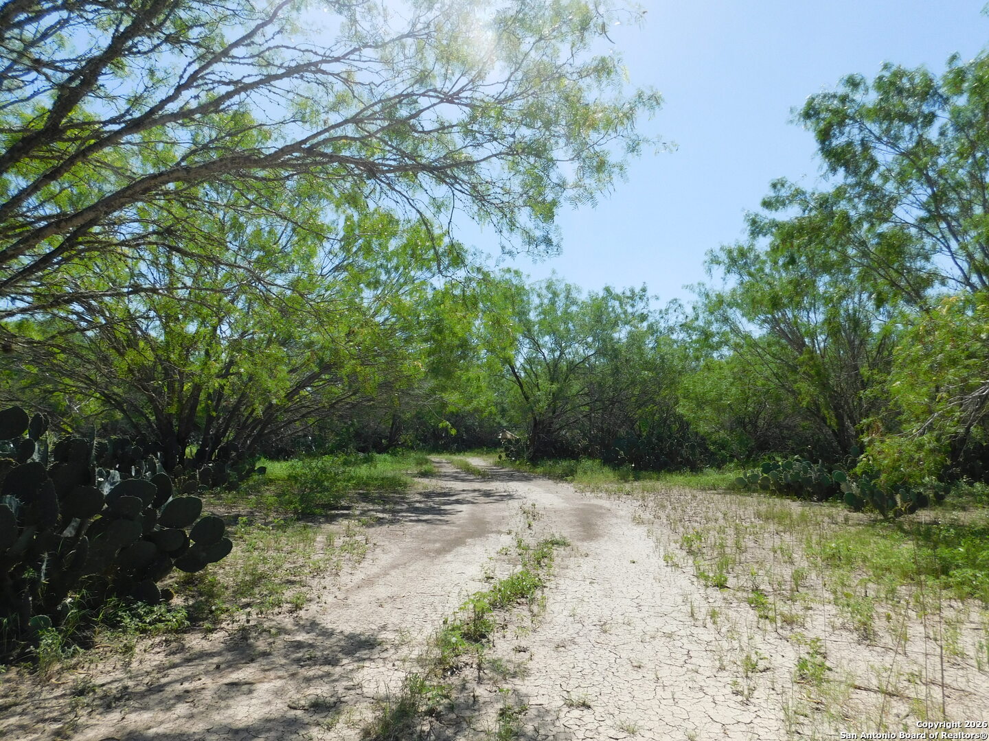 1590 Mccauley Road Floresville TX 78114