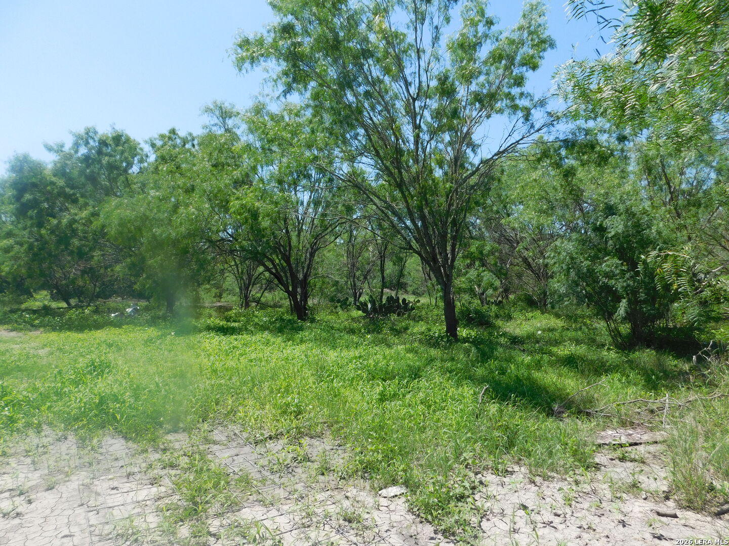 1590 Mccauley Road Floresville TX 78114