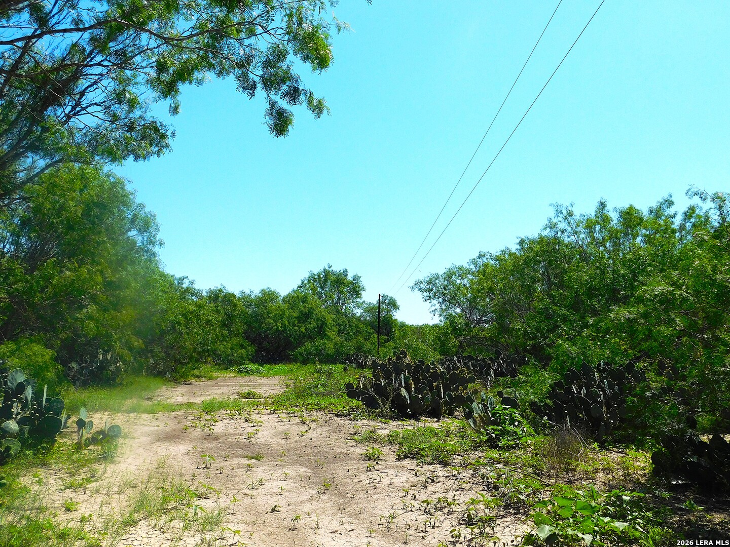 1590 Mccauley Road Floresville TX 78114