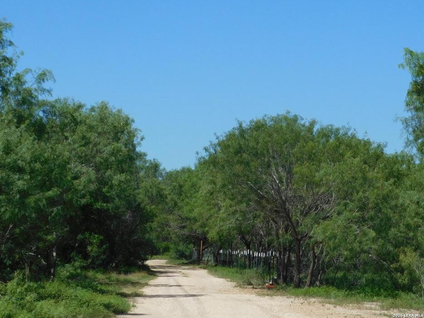 1590 Mccauley Road Floresville TX 78114