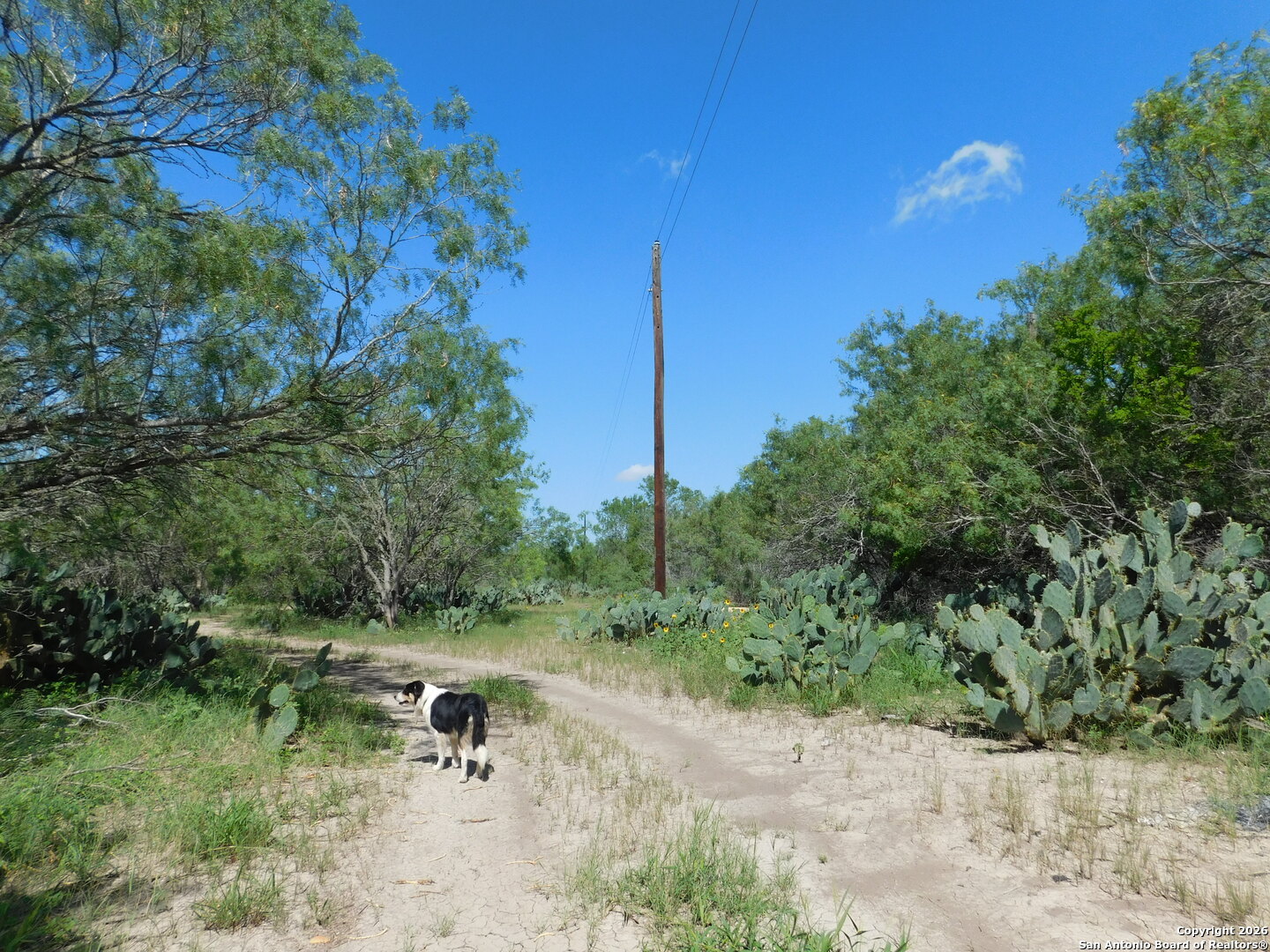 1590 Mccauley Road Floresville TX 78114