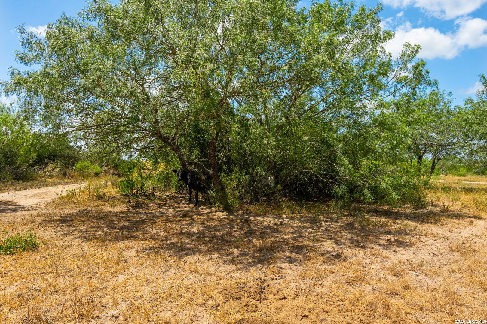 2347 Frontier 5 Freer TX 78357