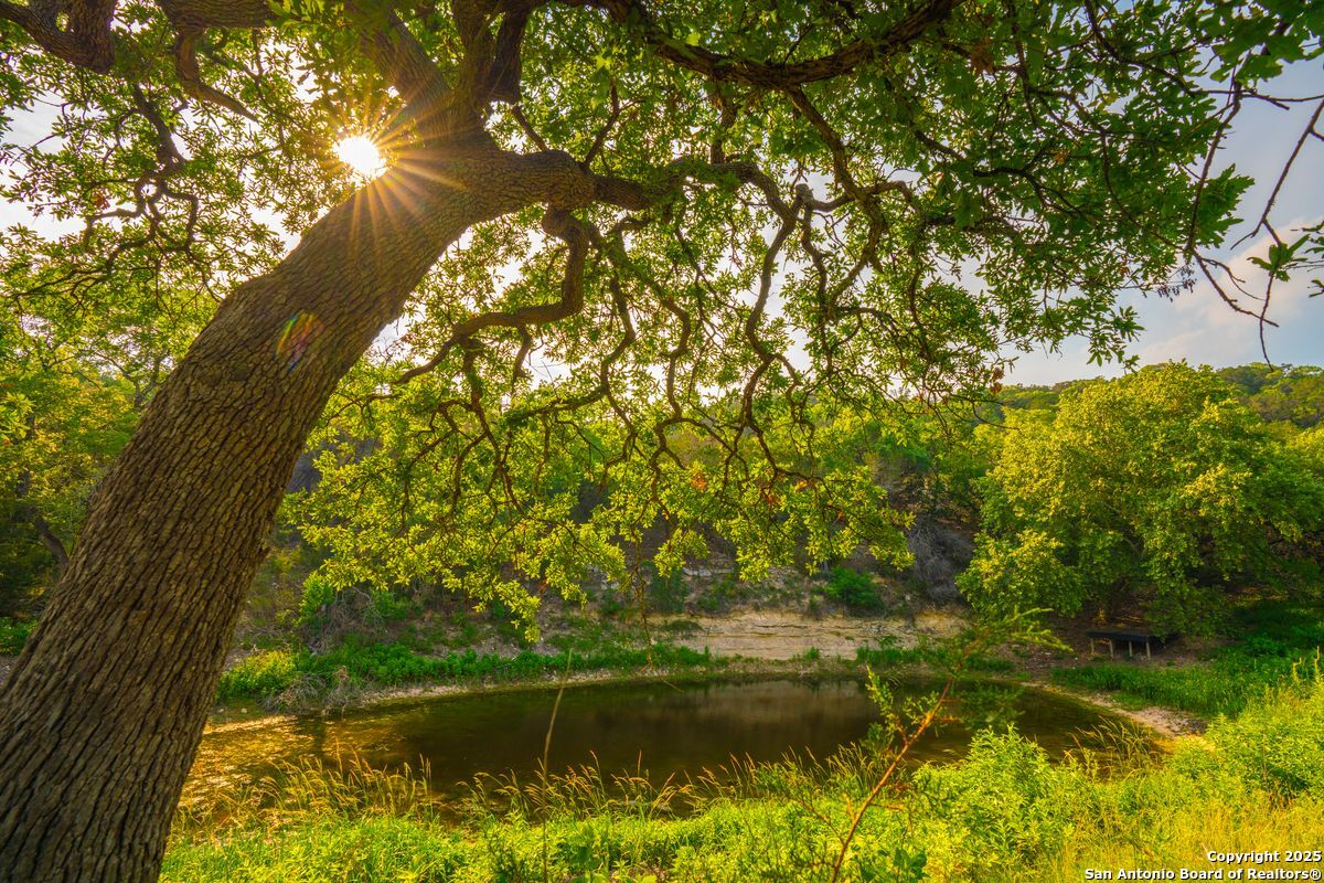 103 Bella Springs Road Boerne TX 78006