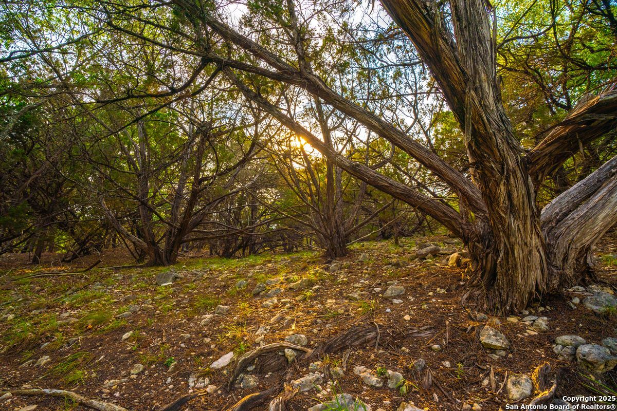 103 Bella Springs Road Boerne TX 78006