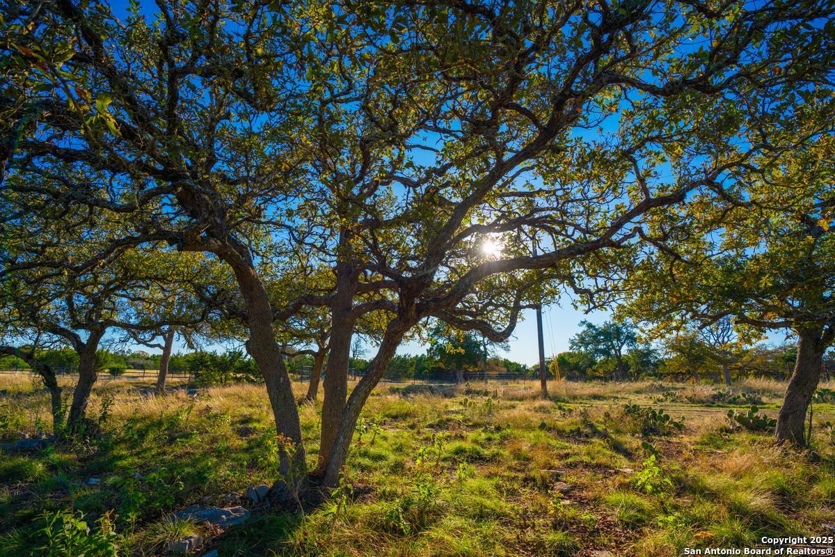 103 Bella Springs Road Boerne TX 78006