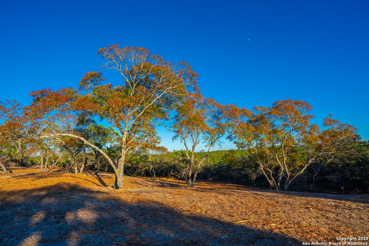 103 Bella Springs Road Boerne TX 78006