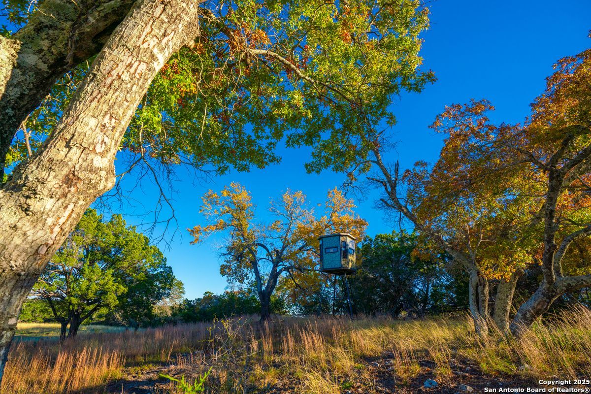 103 Bella Springs Road Boerne TX 78006