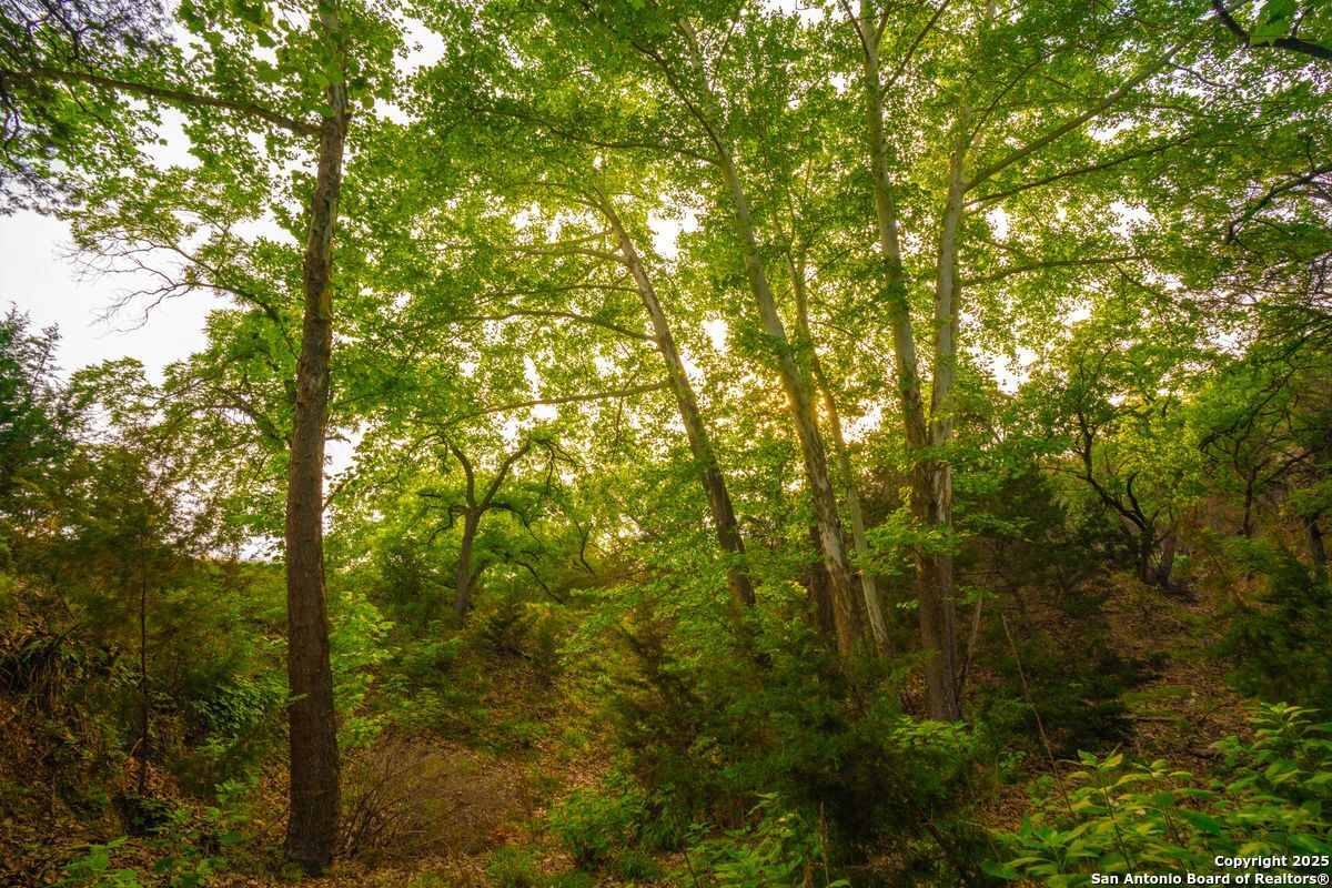 103 Bella Springs Road Boerne TX 78006