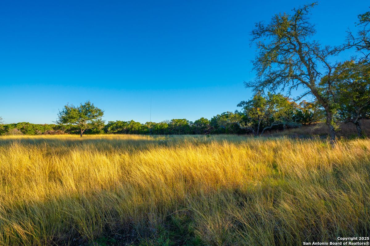 103 Bella Springs Road Boerne TX 78006