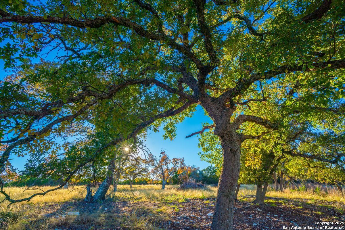 103 Bella Springs Road Boerne TX 78006