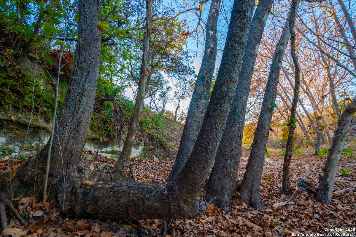 103 Bella Springs Road Boerne TX 78006