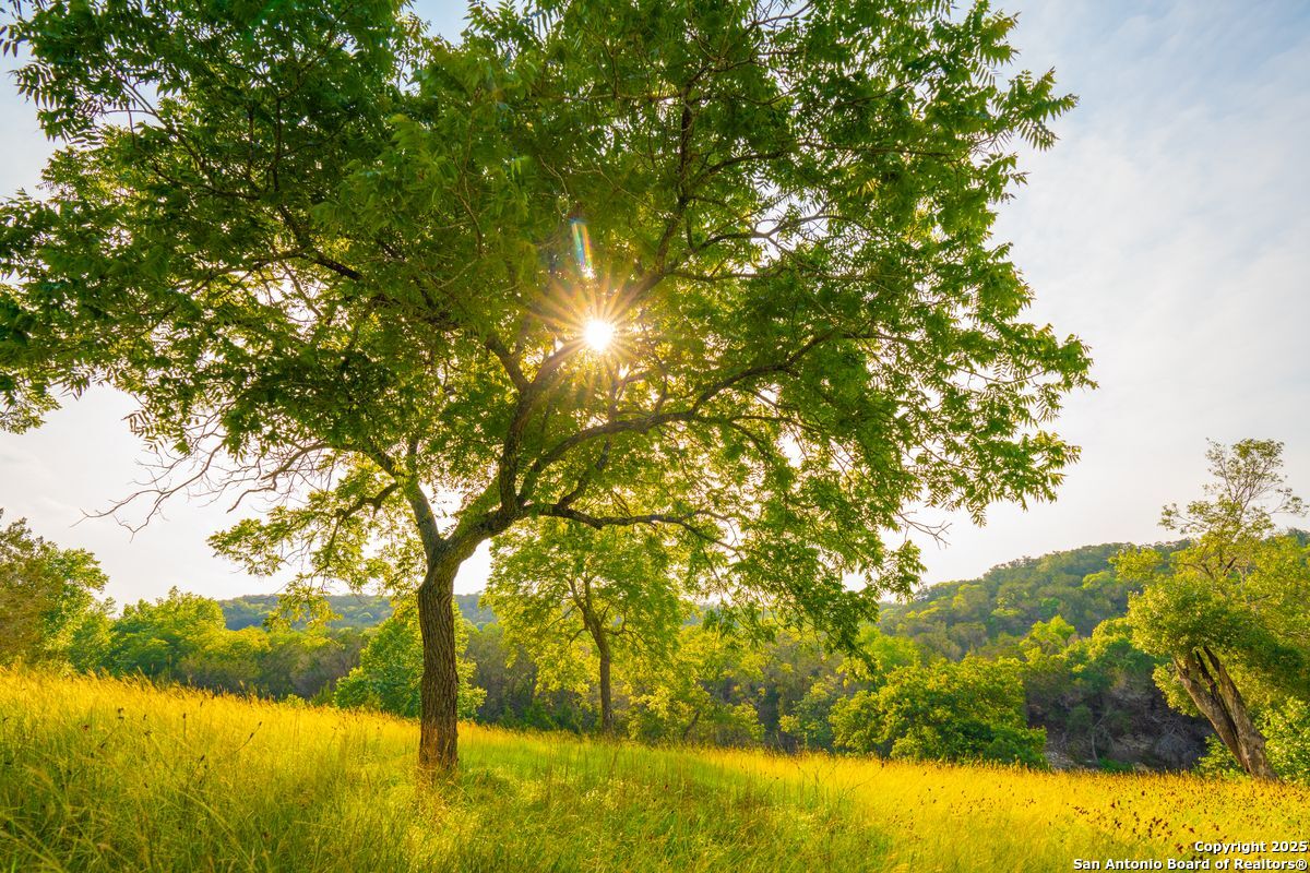 103 Bella Springs Road Boerne TX 78006