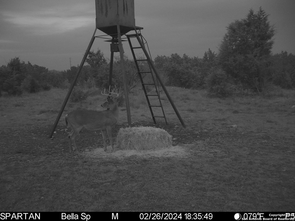 103 Bella Springs Road Boerne TX 78006