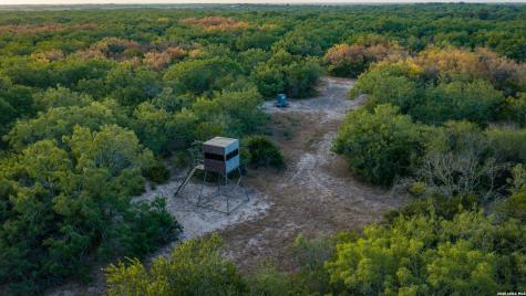 5775 County Road 308 Orange Grove TX 78373