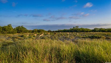5775 County Road 308 Orange Grove TX 78373
